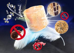 ultra-light antibacterial bagasse–silver nanoparticles aerogel (Advances in Engineering)
