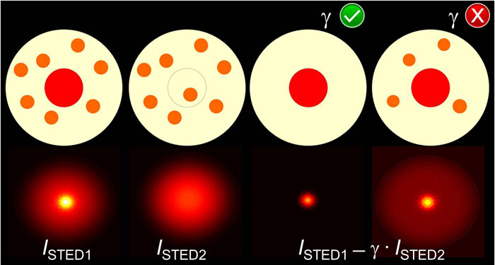 Precise background subtraction in stimulated emission double depletion nanoscopy (Advances in Engineering)
