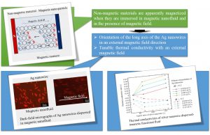 Field induced anisotropic thermal conductivity of silver nanowire dispersed-magnetic functional fluid