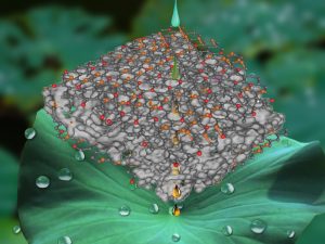 Shape Controlled Hierarchical Porous HydrophobicOleophilic Metal-Organic Nanofibrous Gel Composites for Oil Adsorption - advances in engineering