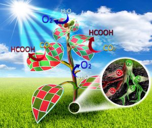 Facile Synthesis of CuFeO2 and CuO Composite Photocatalyst- Advances in Engineering