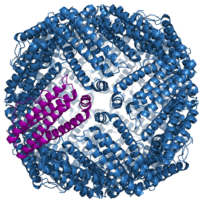 Catalytic Macroporous Biohydrogels Made of Ferritin Encapsulated Gold Nanoparticles - Advances in Engineering