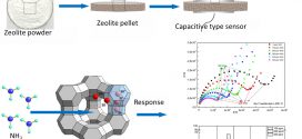 Gas sensing performance of ion-exchanged Y zeolites as an impedimetric ammonia sensor-Advances in Engineering