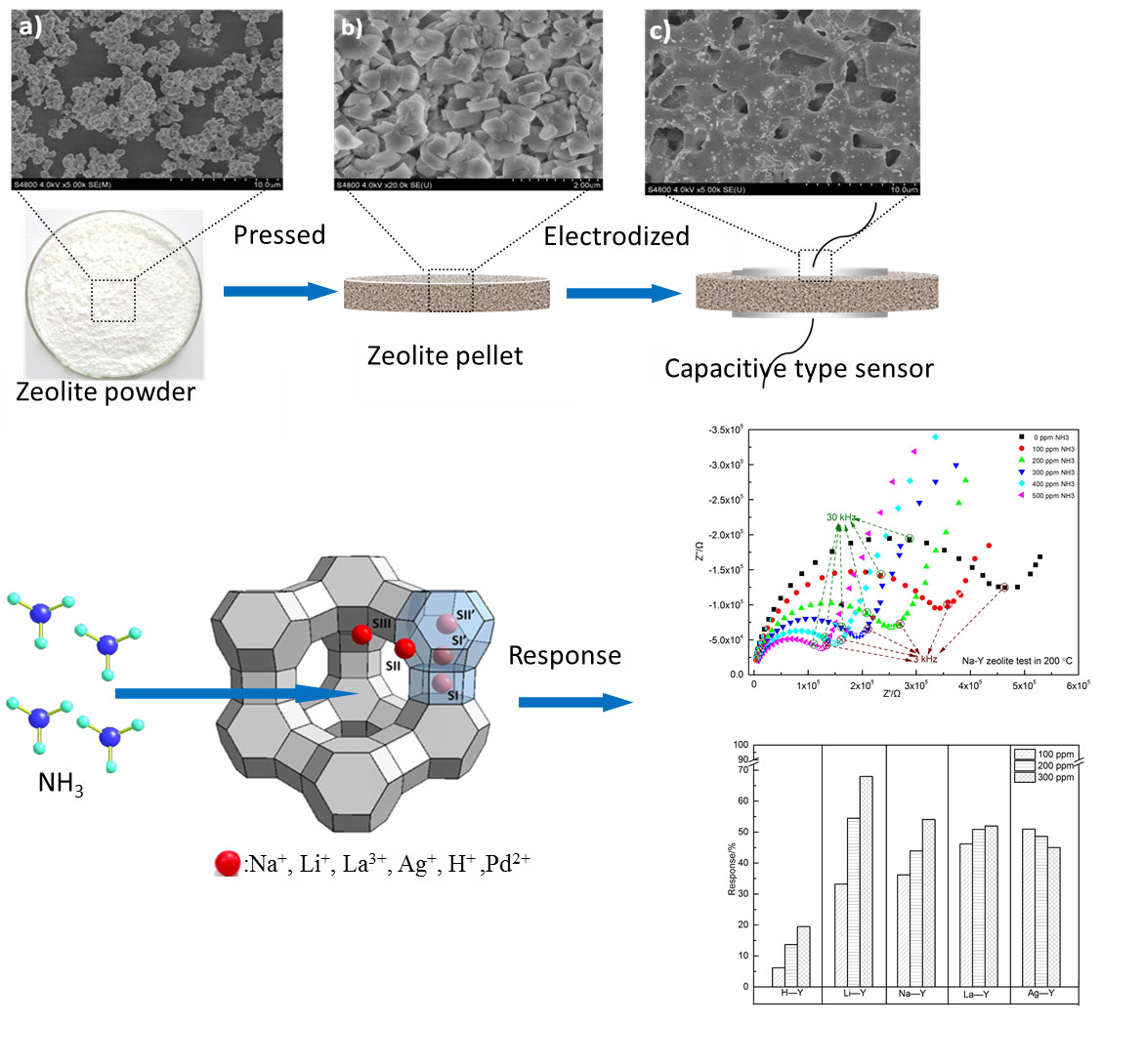 Gas sensing performance of ion-exchanged Y zeolites as an impedimetric ammonia sensor-Advances in Engineering