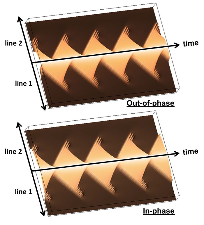 Mutual synchronization of oscillating pulse edges in point-coupled transmission lines with regularly spaced tunnel diodes