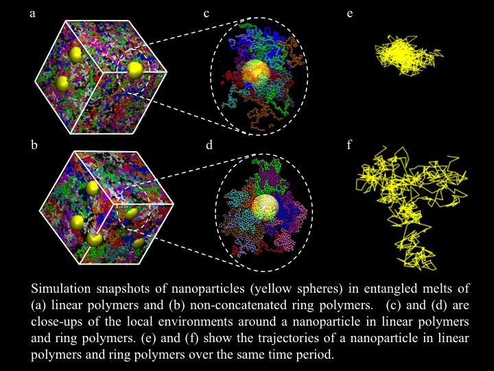 Nanoparticle Motion in Entangled Melts of Linear and Nonconcatenated Ring Polymers- Advances in Engineering