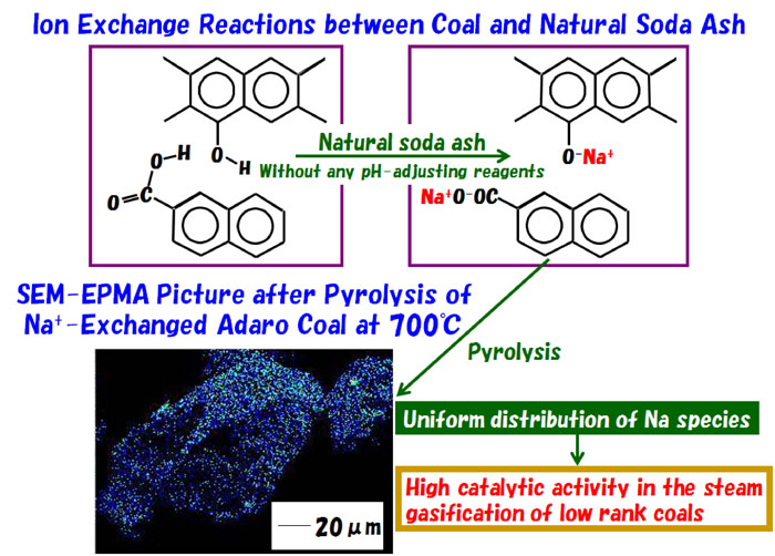 Steam Gasification of Low-Rank Coals with Ion-Exchanged Sodium Catalysts Prepared Using Natural Soda Ash-Advances in Engineering
