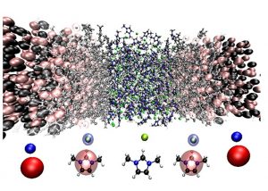 Towards open boundary molecular dynamics simulation of ionic liquids (Advances in Engineering)