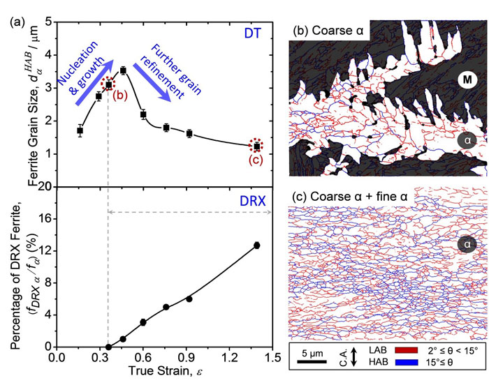 Mechanism of Dynamic Formation of Ultrafine Ferrite Grains during High
