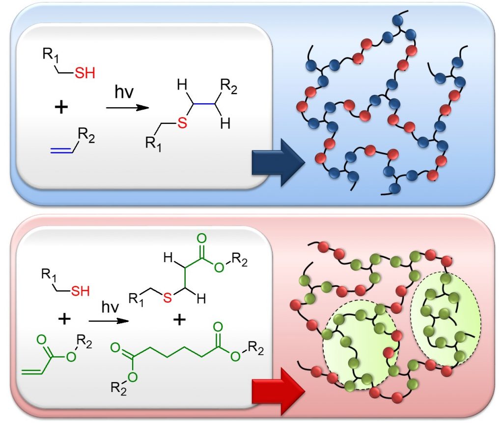 Thiol-Ene versus Binary Thiol–Acrylate Chemistry: Material Properties and Network Characteristics of Photopolymers- Advances in Engineering