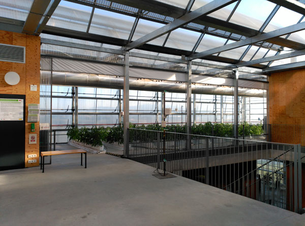 Building-integrated rooftop greenhouses Advances in Engineering-4