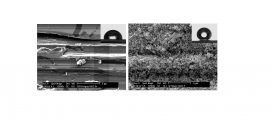 type of solvent on development of super hydrophobicity from silane-based solution containing nanoparticles-Advances in Engineering