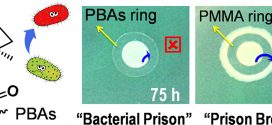 Antibacterial Adhesion of Borneol-Based Polymer via Surface Chiral-Advances in Engineering