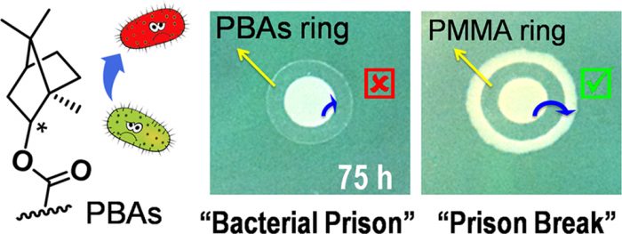 Antibacterial Adhesion of Borneol-Based Polymer via Surface Chiral Stereochemistry-Advances in Engineering