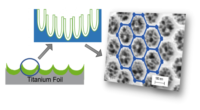 Self-ordering dual-layered honeycomb nanotubular titania: Enhanced structural stability and energy storage capacity-Advances in Engineering