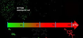 Antibacterial Adhesion of Poly(methyl methacrylate) Modified by borneol acrylate-Advances in Engineering