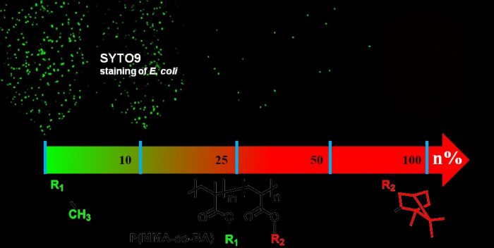 Antibacterial Adhesion of Poly(methyl methacrylate) Modified by Borneol Acrylate-Advances in Engineering
