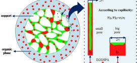 Effect of support properties on preparation process and adsorption performances of solvent impregnated resins-Advances in Engineering