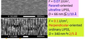 Formation of Organic Layer on Femtosecond Laser-Induced Periodic Surface Structures- Advances in Engineering