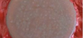 wettability effects of nanoparticles in pool boiling of a nanofluid-Advances in Engineering