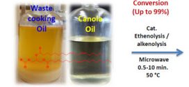 Microwave-Assisted Cross-Metathesis of Lipids under Solvent-Free Conditions-Advances in Engineering