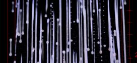 Fiber-draw-induced elongation and break-up of particles inside the core of a silica-based optical fiber. Advances in Engineering