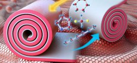Gyrification-Inspired Highly Convoluted Graphene Oxide Patterns for Ultra large Deforming Actuators. Advances in Engineering