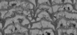 Electrodeposition of nanocrystalline Zn/Ni multilayer coatings from single bath-Advances in Engineering