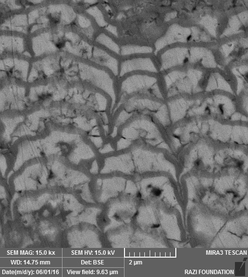Electrodeposition of nanocrystalline Zn/Ni multilayer coatings from single bath-Advances in Engineering