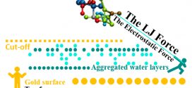 Further understanding of the biased diffusion for peptide adsorption on uncharged solid surfaces that strongly interact with water molecules. Advances in Engineering