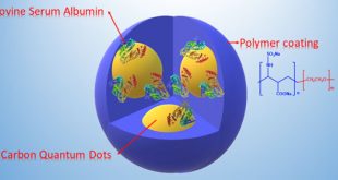 Carbon quantum dots/block copolymer ensembles for metal-ion sensing and bioimaging. Advances in Engineering