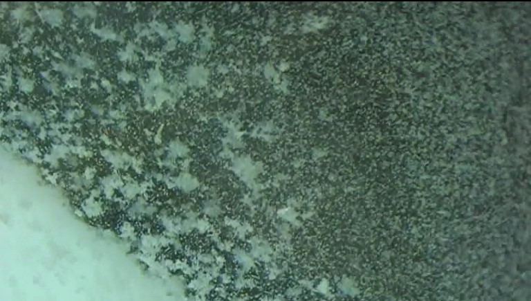 Massive Formation of Equiaxed Crystals by Avalanches of Mushy Zone Segments.. Advances in Engineering