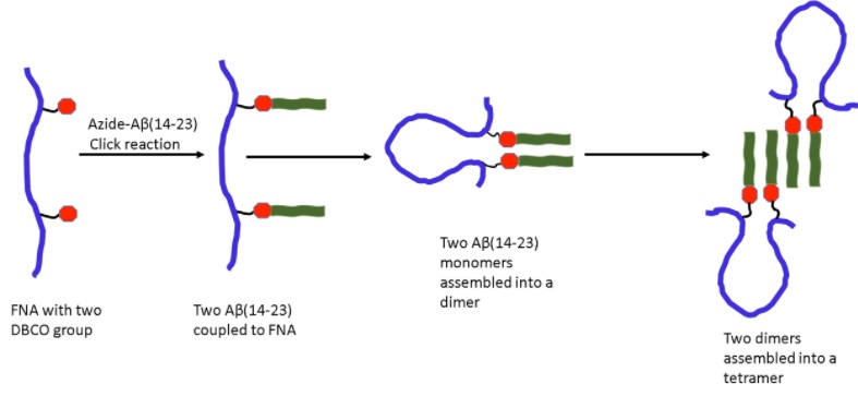 Single-molecule probing of amyloid nano-ensembles using the polymer nanoarray approach. Advances in Engineering