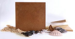 The effect of microstructure, filler load and surface adhesion of marine bio-fillers, in the performance of Hybrid Wood-Polypropylene Particulate Bio-composite. Advances in Engineering