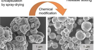 chemically modified inulin as encapsulation material for pharmaceutical substances by spray-drying-Advances in Engineering