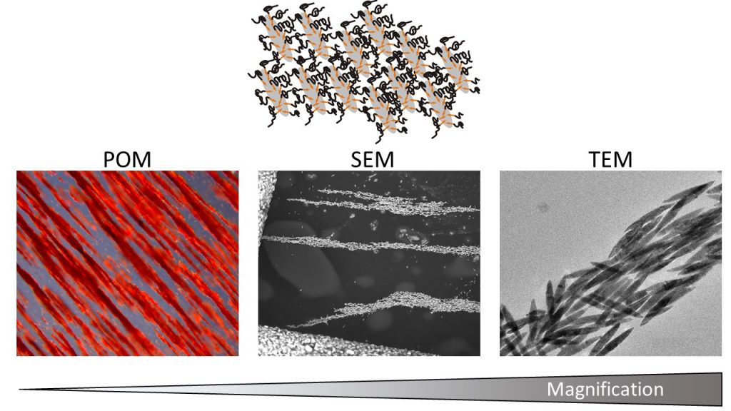 Liquid crystalline phases polymer functionalized ferri-magnetic Fe3O4 nanorods Advances in Engineering