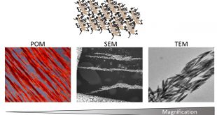 Liquid crystalline phases polymer functionalized ferri-magnetic Fe3O4 nanorods Advances in Engineering. Advances in Engineering