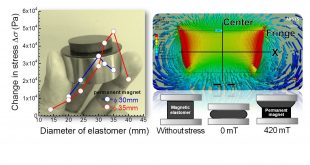 Magnetic field gradient and sample size effect on magneto-mechanical response for magnetic elastomers. Advances in Engineering