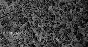 porous polybenzimidazole membranes-Advances in Engineering