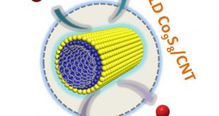 Atomic-layer-deposited ultrathin Co9S8 on carbon nanotubes an efficient bi-functional electro-catalyst for oxygen evolution reduction reactions- Advances in Engineering