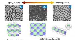 Density dependence of orientational order in one-patch particles.. Advances in Engineering
