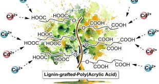 Lignin-graft-poly(acrylic acid) for enhancement of heavy metal ion biosorption. Advances in Engineering