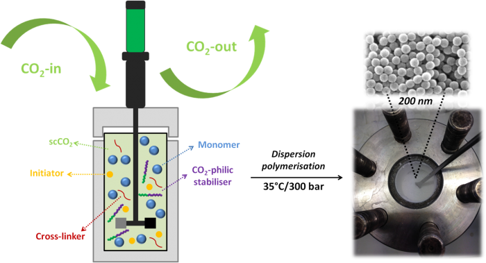 synthesis of poly(HEMA)-networks nanoparticles in supercritical carbon dioxide- Advances in Engineering