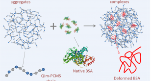 Tuning the solution organization of cationic polymers through interactions with bovine serum albumin- Advances in Engineering