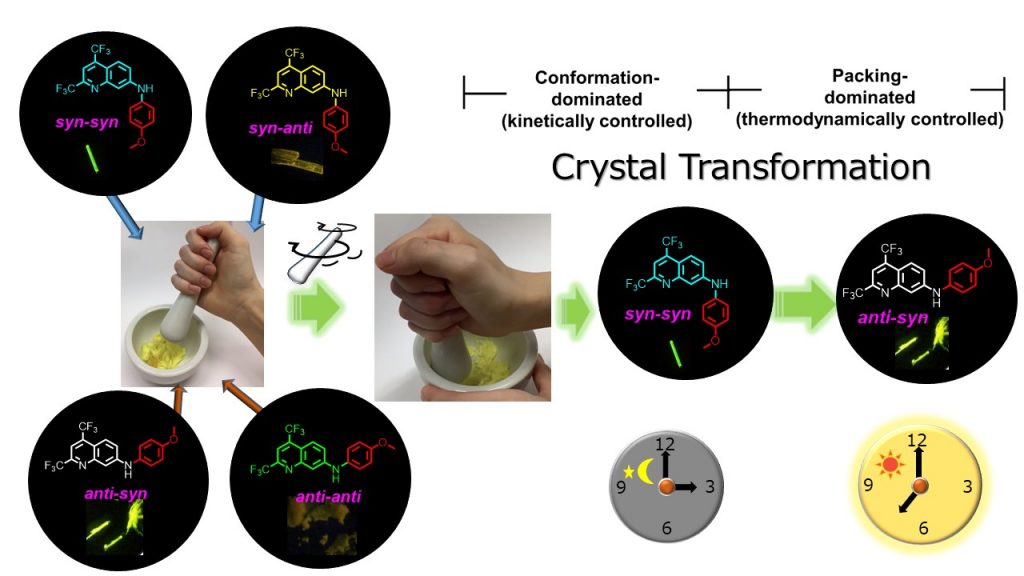 Two-step transformation of p-anisolylaminoquinoline derivatives induced by conformation- and packing-dominated processes.. Advances in Engineering