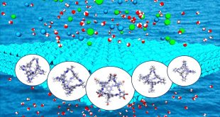 Porous organic cage membranes for water desalination: a simulation exploration. Advances in Engineering