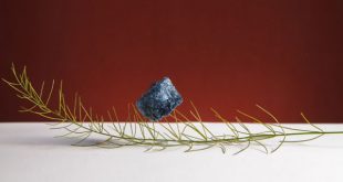 Thermoelectric Polymer Aerogels for Pressure-Temperature Sensing Applications-Advances in Engineering