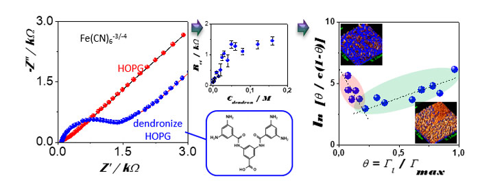 Tuning properties of carbon surfaces functionalized with amino-ended Dendron layers by exploring their supramolecular interactions-Advances in Engineering