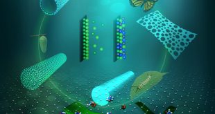 Ultrathin Hierarchical Porous Carbon Nanosheets for High-Performance Supercapacitors and Redox Electrolyte Energy Storage- Advances in Engineering