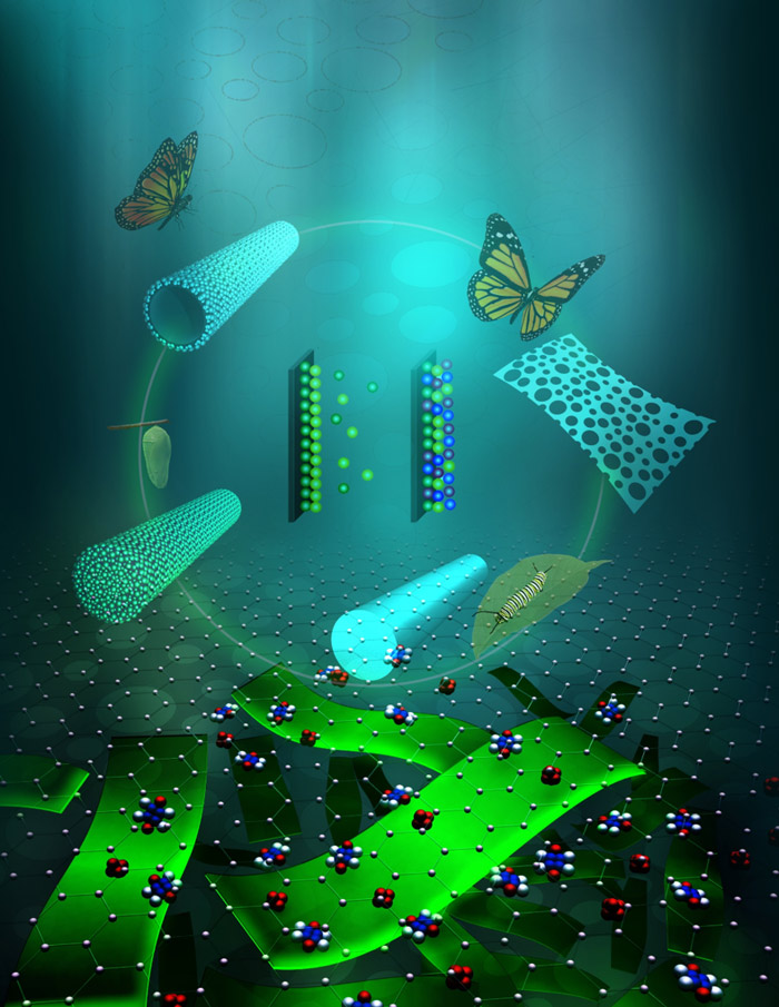 Ultrathin Hierarchical Porous Carbon Nanosheets for High-Performance Supercapacitors and Redox Electrolyte Energy Storage- Advances in Engineering